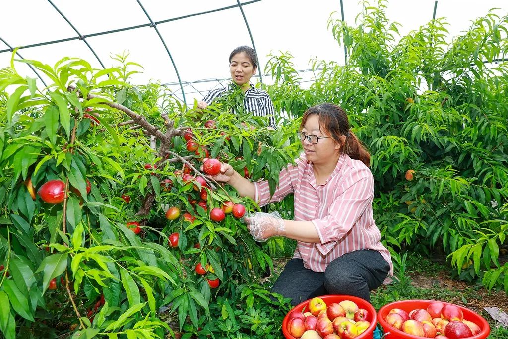 养殖致富的诗句_致富养殖语_诗句致富养殖的句子