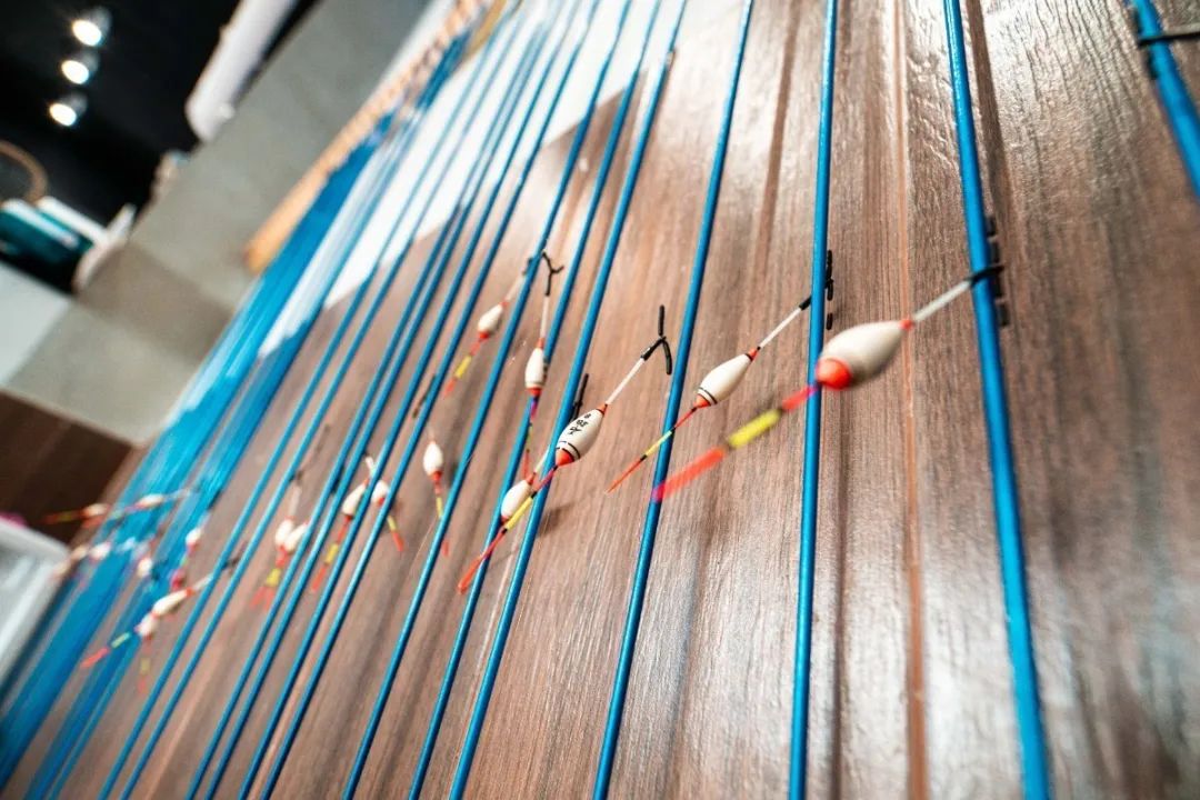 养殖室内虾子技术视频_室内养虾技术视频_虾子室内养殖技术