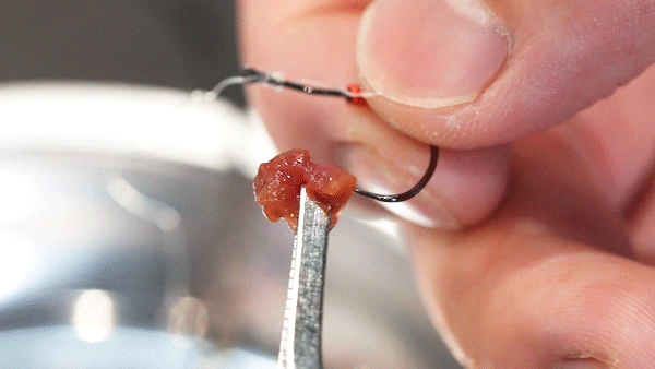 虾子室内养殖技术_室内养虾技术视频_养殖室内虾子技术视频