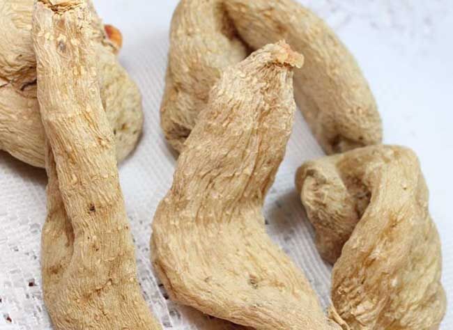 陇南白芨种子苗价格天麻种子苗价格