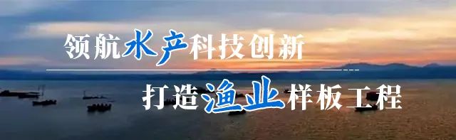 用药养殖鱼技术视频_养殖鱼药用药大全_鱼养殖用药技术