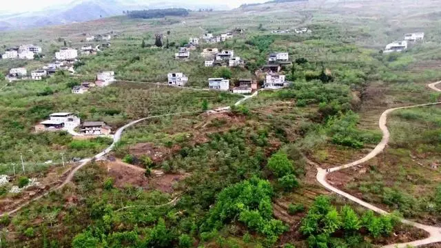 适合湘西种植的果树_湘西种植什么赚钱_湘西种植致富果