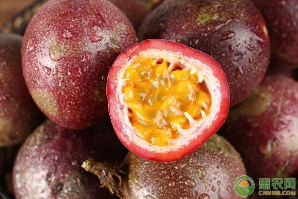 “果汁之王”百香果的种植管理技术3要点