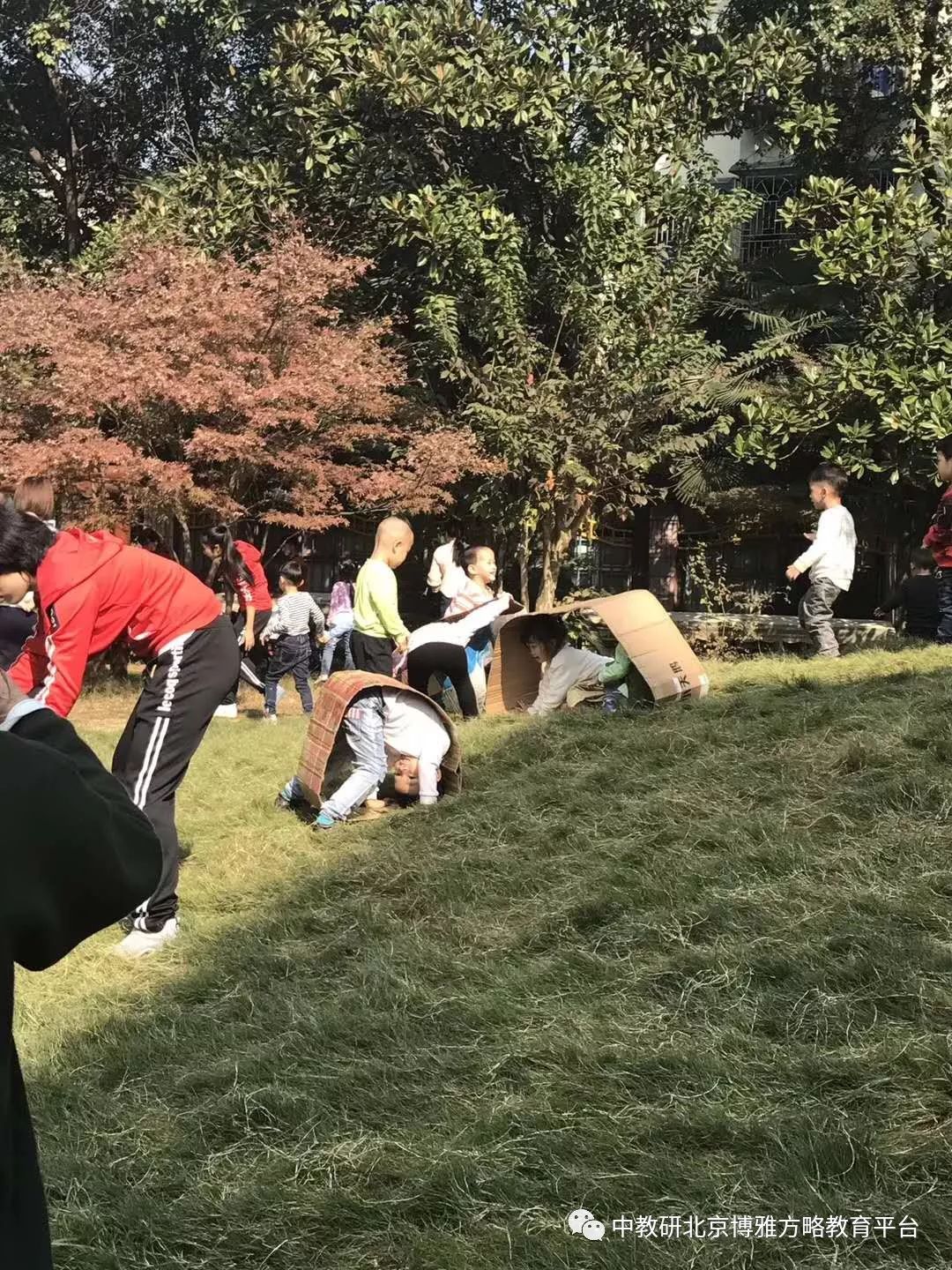 优质晨间锻炼分享经验_晨间锻炼活动内容_晨间锻炼方案