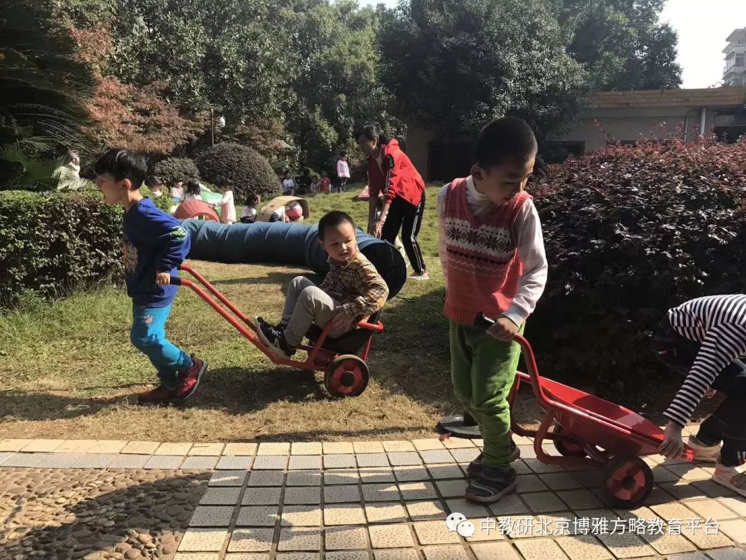 晨间锻炼方案_优质晨间锻炼分享经验_晨间锻炼活动内容