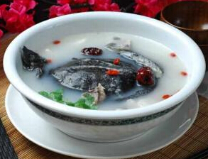 甲鱼养殖 甲鱼的生活习性与繁殖