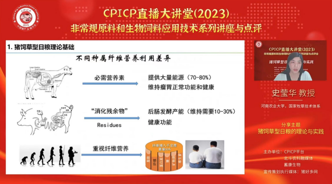 喂猪的苜蓿草_苜蓿养猪成功案例_苜蓿草养猪致富经