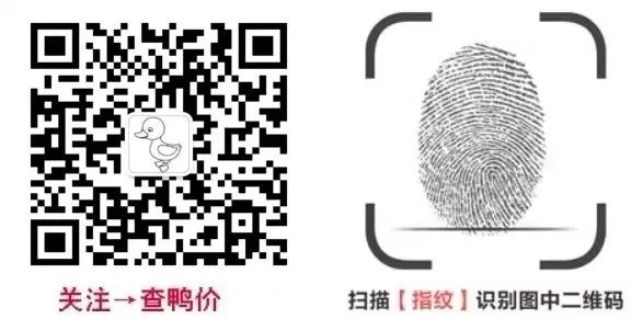 白鹅养殖技术黑龙江_黑龙江养鹅基地_黑龙江白鹅养殖基地