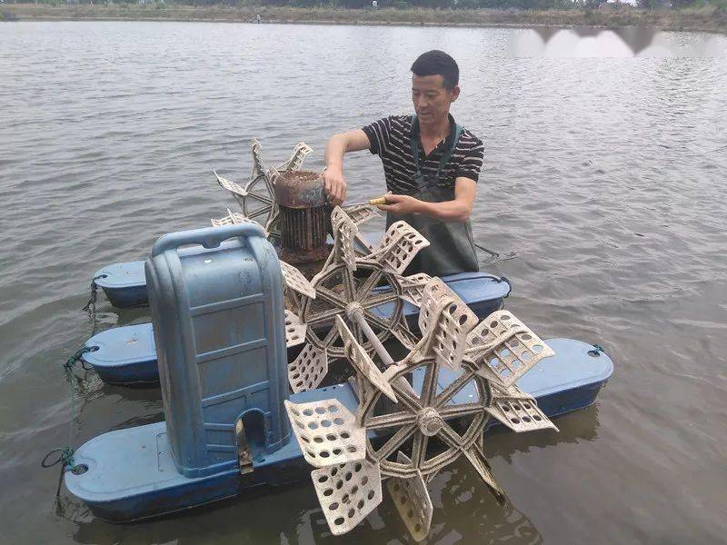 水产养殖致富经_水产养殖赚钱_水产养殖创业
