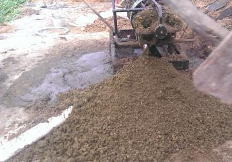 牛粪种地好不好_牛粪种植致富项目_牛粪种地的好处