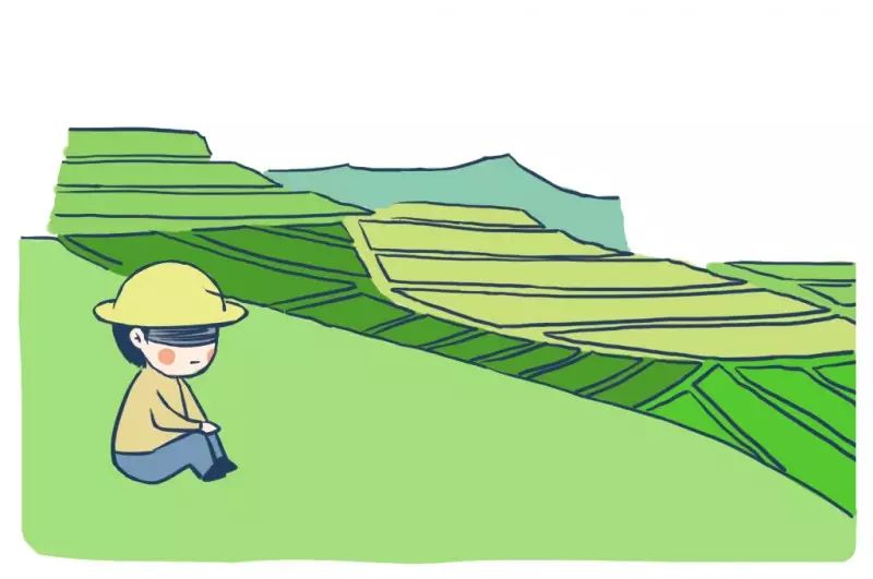 致富经老茶树_农村老茶树_老茶树多少钱一斤