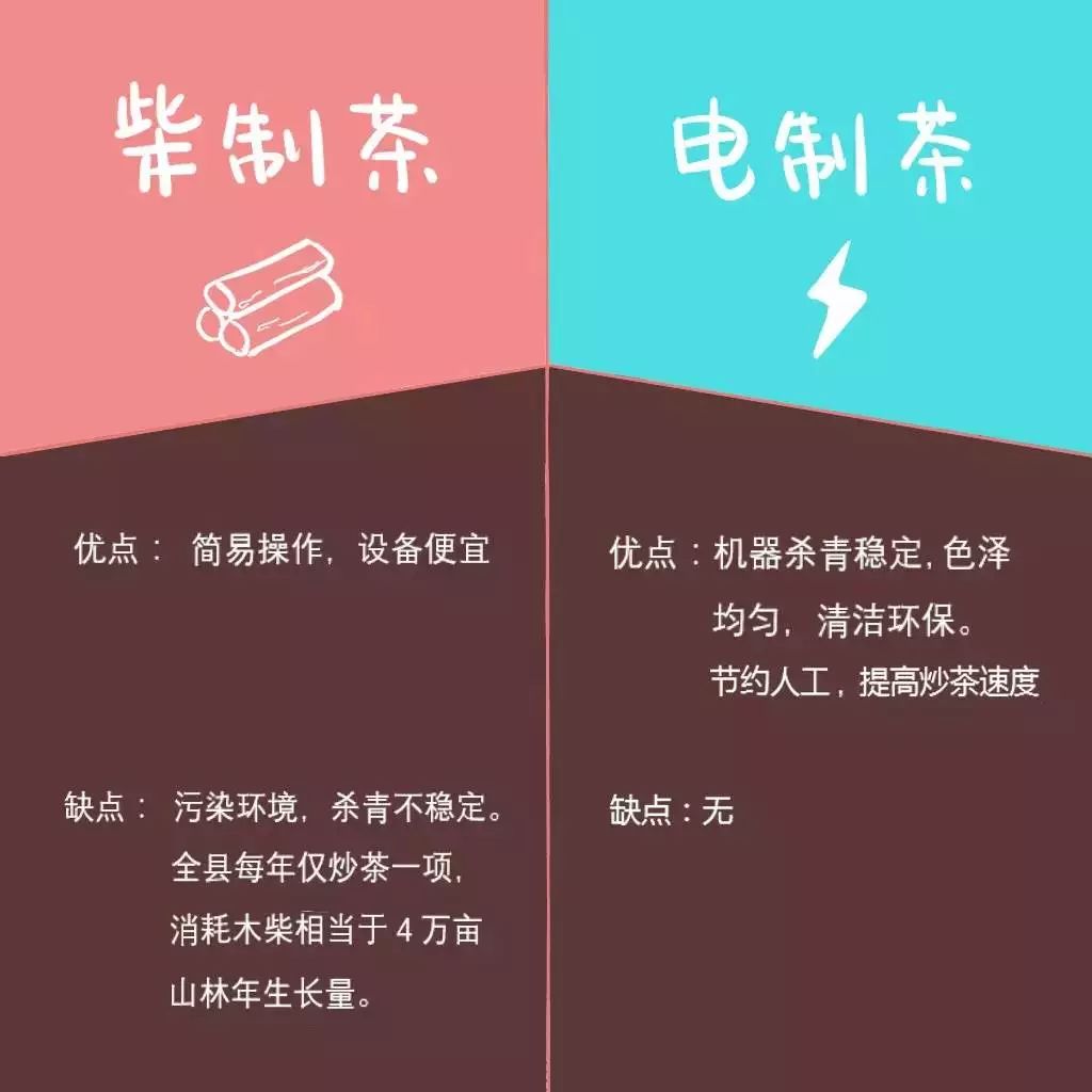 农村老茶树_致富经老茶树_老茶树多少钱一斤