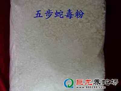 养蛇为患小说百度云