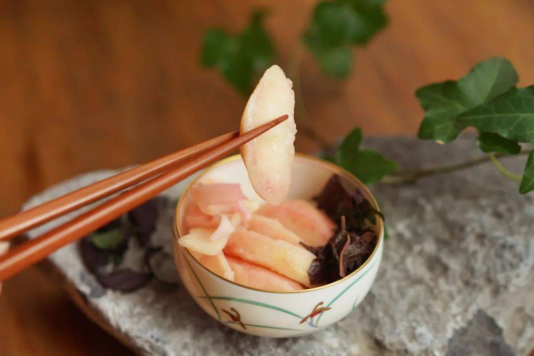 桃子种子育苗方法步骤_桃子种子怎么种植视频_桃子仔怎么种植技术