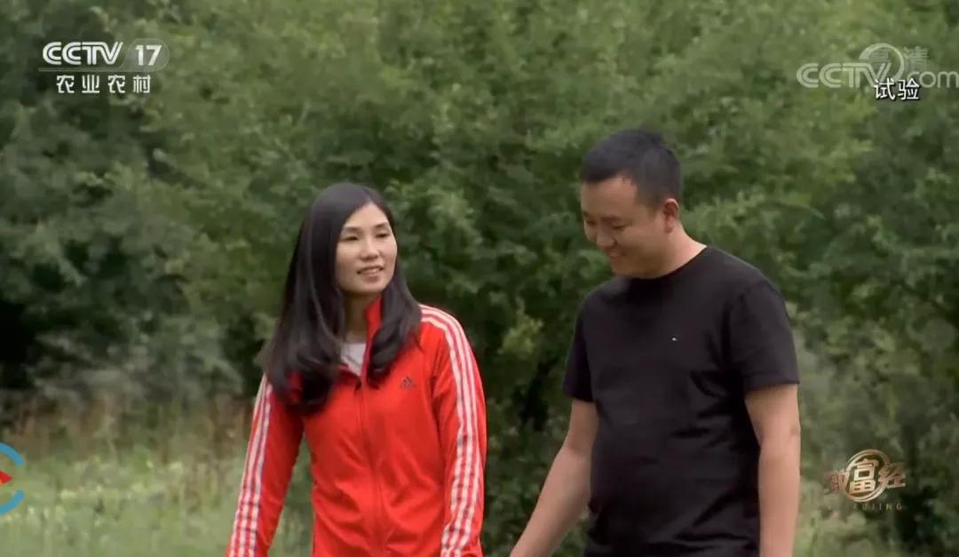 致富经 高基盛_致富高速路游戏无限金币_致富高速路无限金币