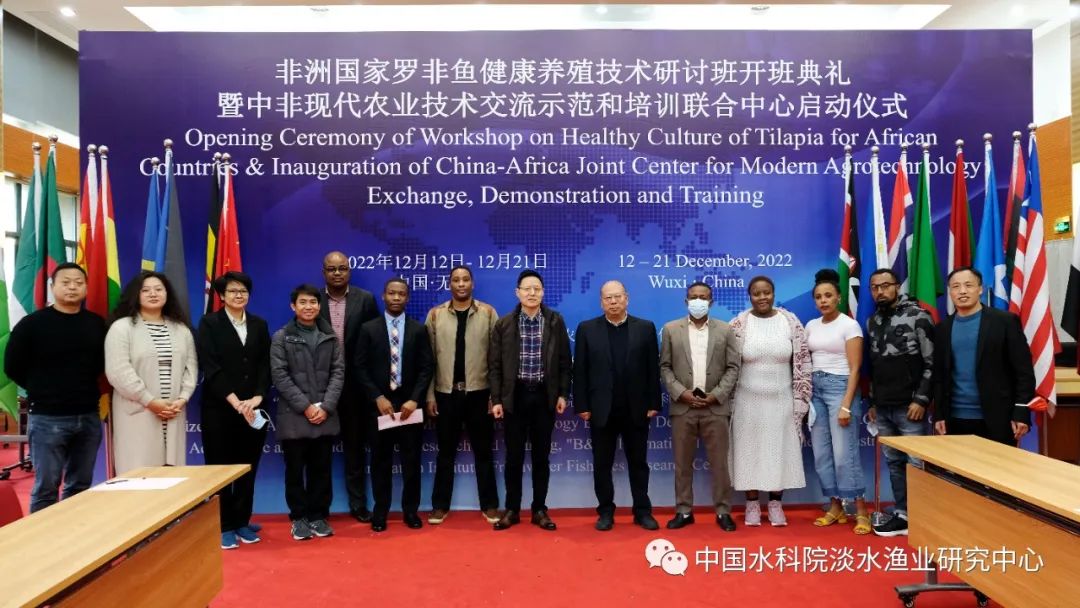 无公害罗非鱼养殖技术_养殖罗非鱼视频_养殖无公害罗非鱼技术规程