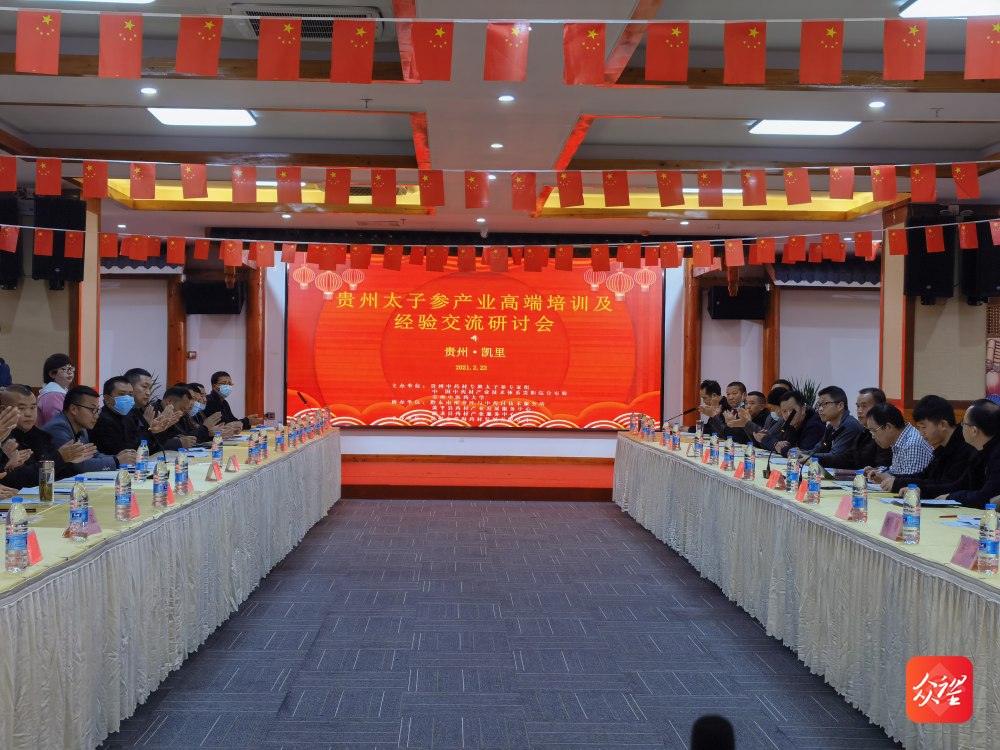 面积全国第一 贵州省太子参产业培训研讨聚焦发展串珠成链