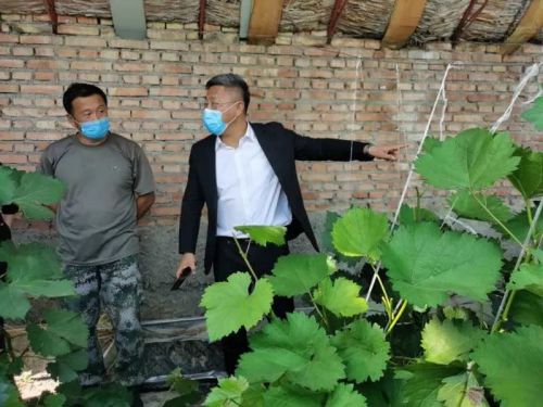 王超（右）在农业产业化基地调研