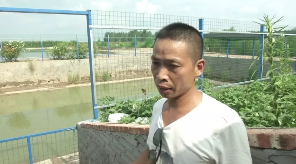 养殖小尾寒羊的技术_登封肉鸡养殖大棚技术_鄂鱼养殖技术书
