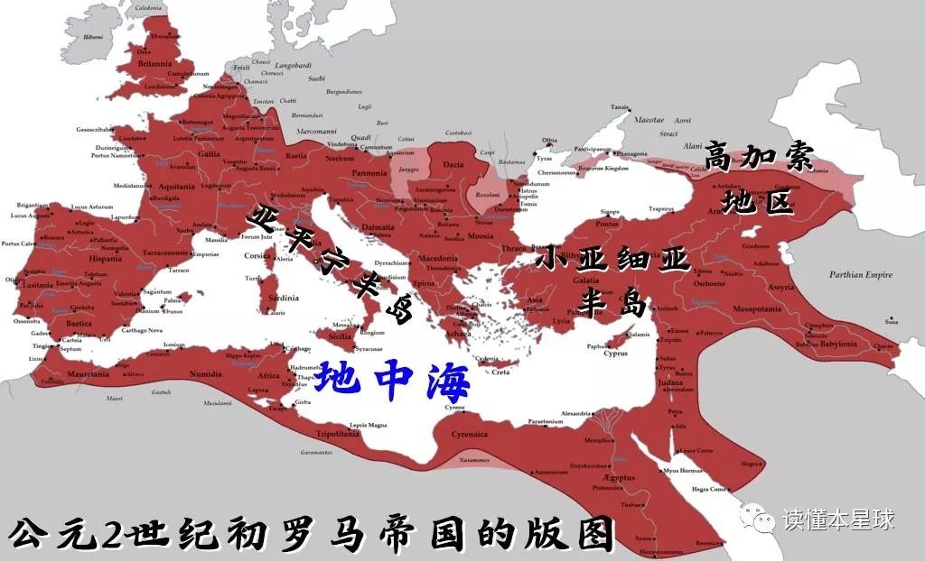 木瓜种子怎样种植_木瓜子种植技术_木瓜的种木瓜种子种植方法