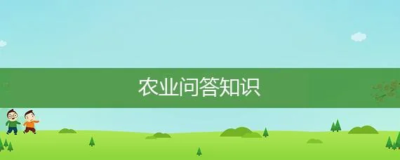 养殖蜗牛的三种方法（蜗牛养殖技巧）