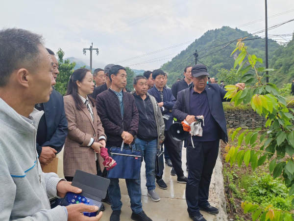 农民种植致富思维_致富经农业种植_致富种植农民思维导图
