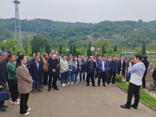 农民种植致富思维_致富种植农民思维导图_致富经农业种植