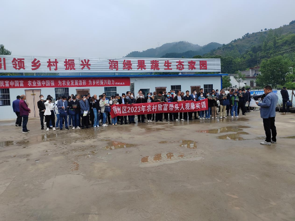 致富经农业种植_致富种植农民思维导图_农民种植致富思维