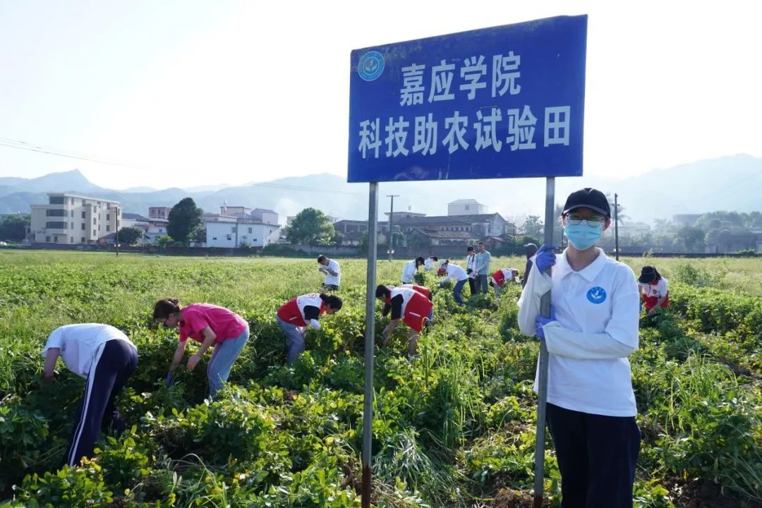优秀回答_优质回答的100个经验_优质回答经验100字怎么写