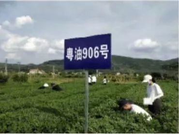 优质回答经验100字怎么写_优秀回答_优质回答的100个经验