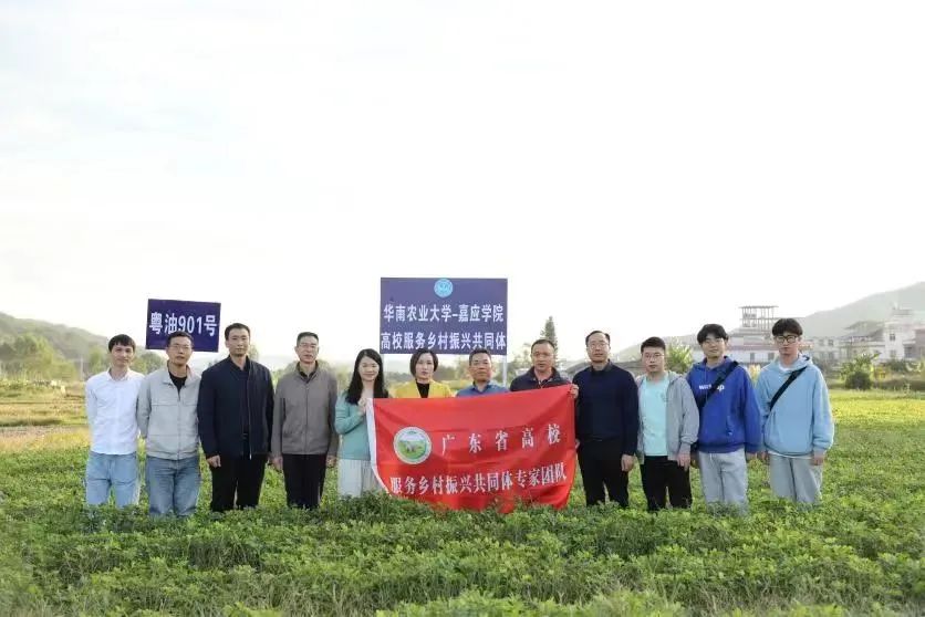 优秀回答_优质回答的100个经验_优质回答经验100字怎么写