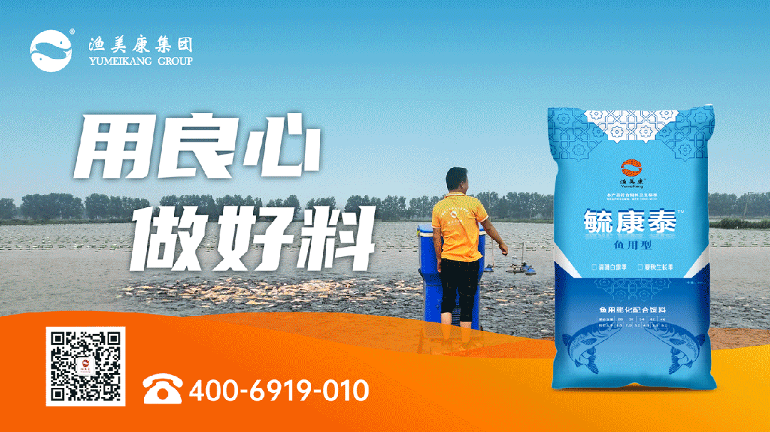 利润超30元/斤！6万亩鱼塘要转养！这条2023年最火爆的鱼会成为第六大家鱼？