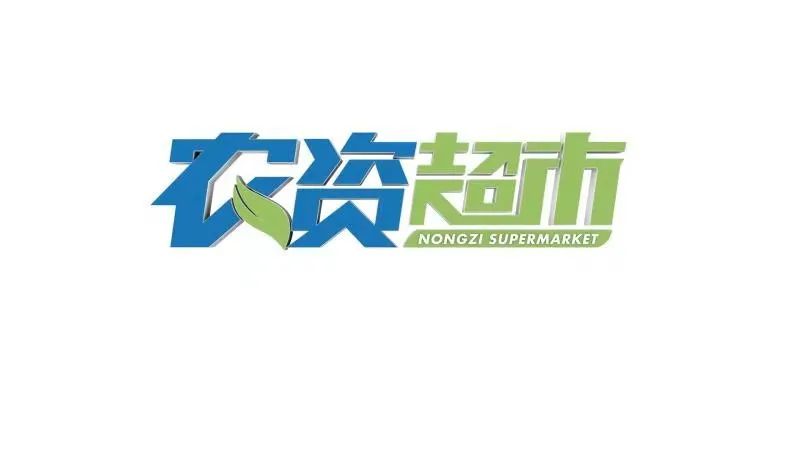 圣女果高产育苗技术