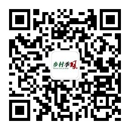 种植圣女果全部过程视频_圣女果种植技术_圣女果种植视频教程