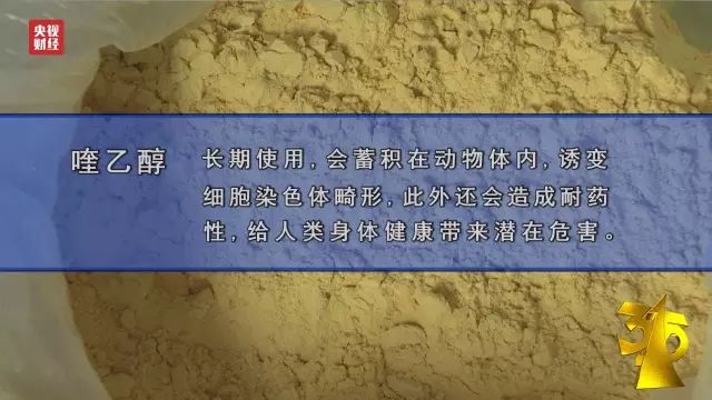 济南獭兔养殖技术_济南养殖獭兔技术怎么样_济南养殖獭兔技术培训