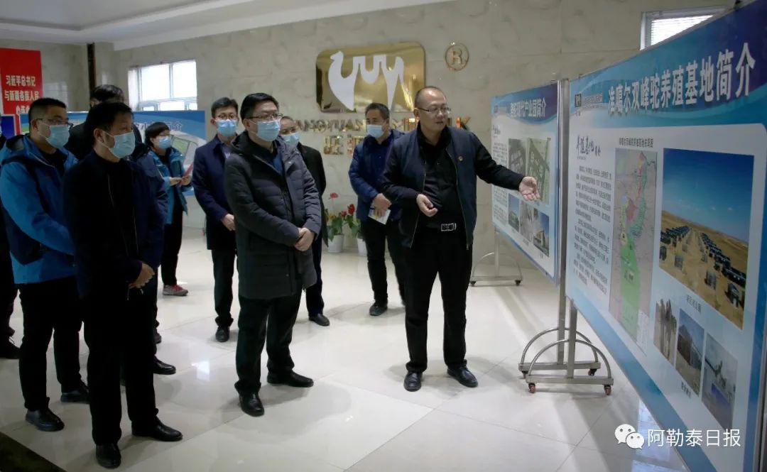 致富经骆驼养殖_致富经骆驼养殖场视频_牧民养殖骆驼致富