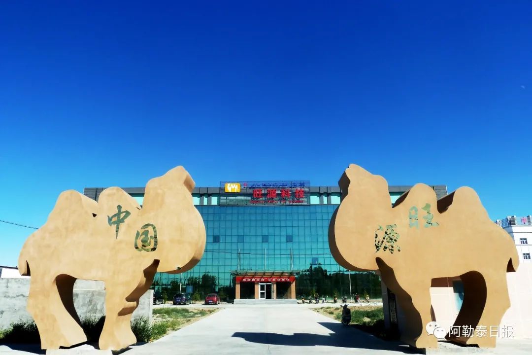 致富经骆驼养殖_牧民养殖骆驼致富_致富经骆驼养殖场视频