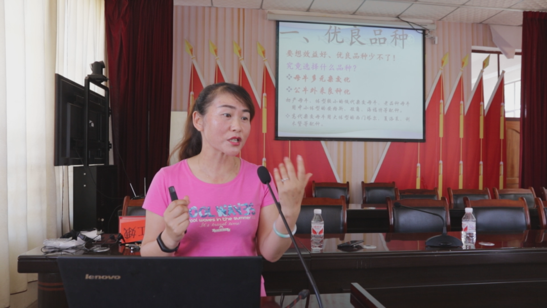 何元：肉牛养殖技术进山乡  打开群众致富门
