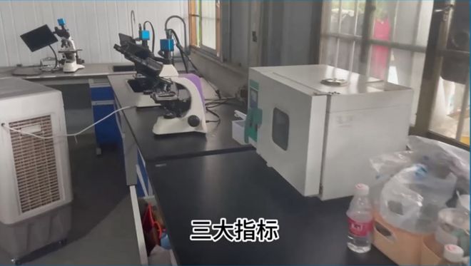 致富经养虾_致富经河虾养殖_致富虾养殖