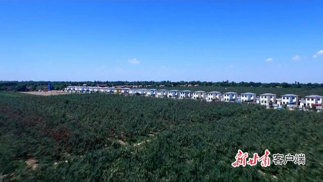 小苹果怎么种植_小苹果种植技术_小苹果种植致富