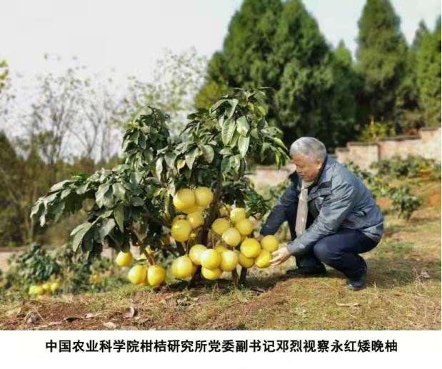 每日农经致富经养蟾蜍_每日农经致富经养蟾蜍_每日农经致富经养蟾蜍