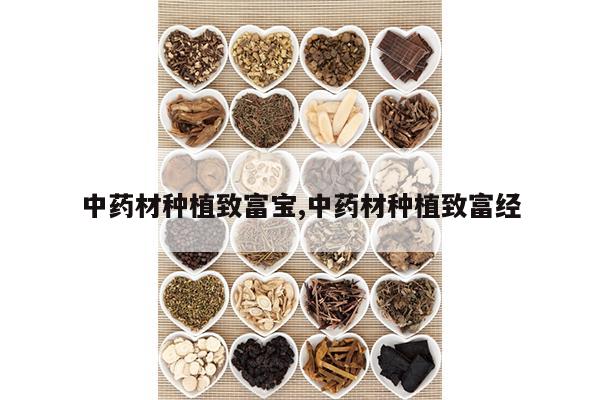 拉牛粪的视频_致富经牛拉屎视频_拉屎赚钱是真的吗