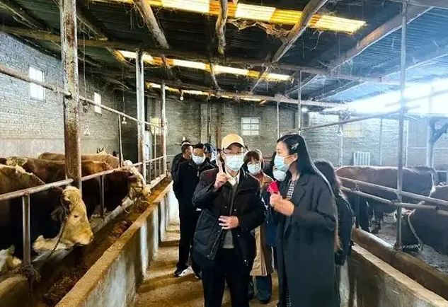 农村养殖致富故事_养殖致富案例_农村致富养殖项目大全