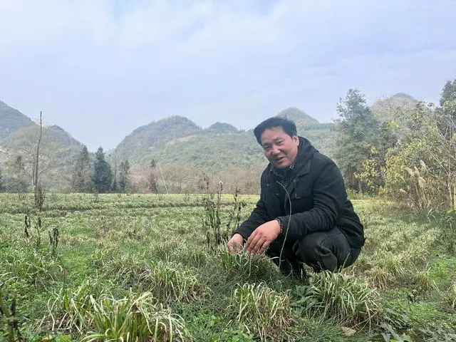致富农场app下载_农业致富栏目_致富经视频生态农场