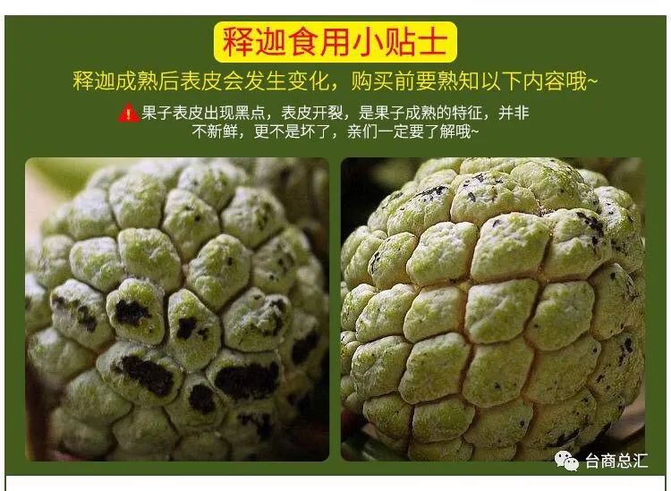 芒果种植技术与管理视频_芒果种植视频教程_芒果种植视频技术