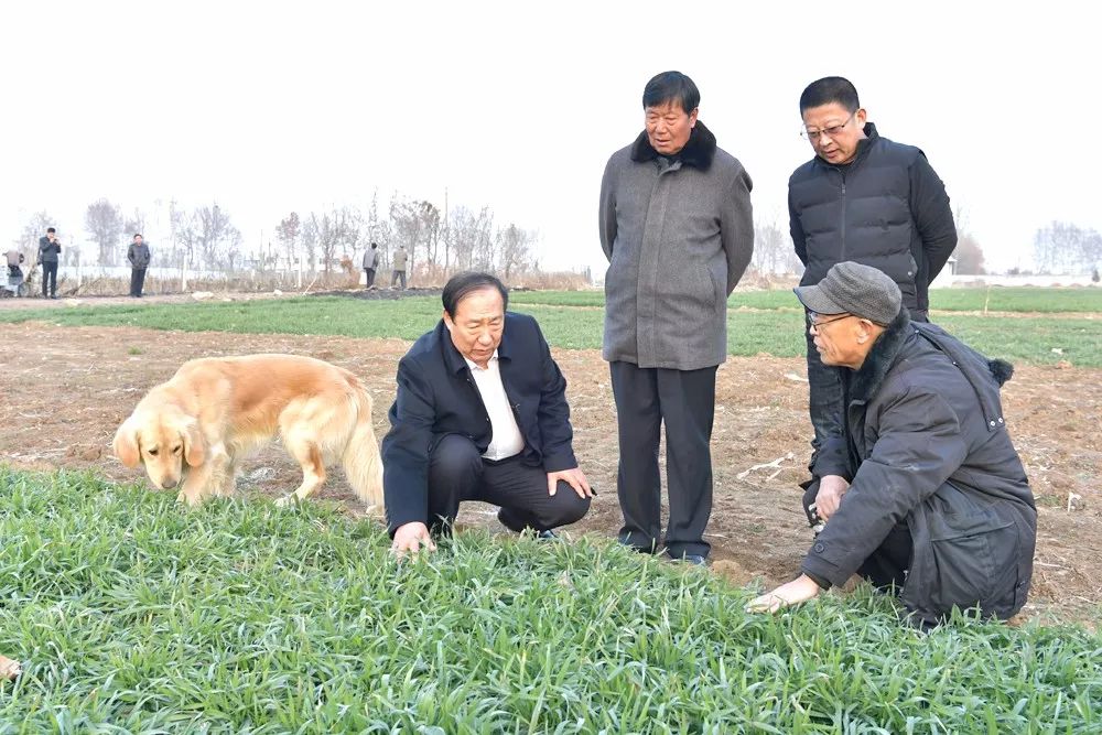 让“莱西经验”跟上时代步伐