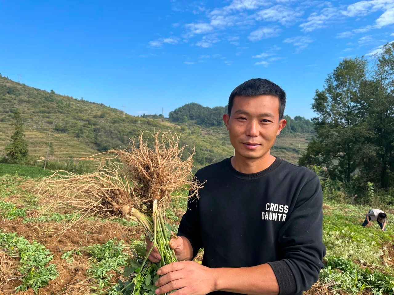 返乡种植药材致富_致富药材返乡种植方案_种植药材发家致富