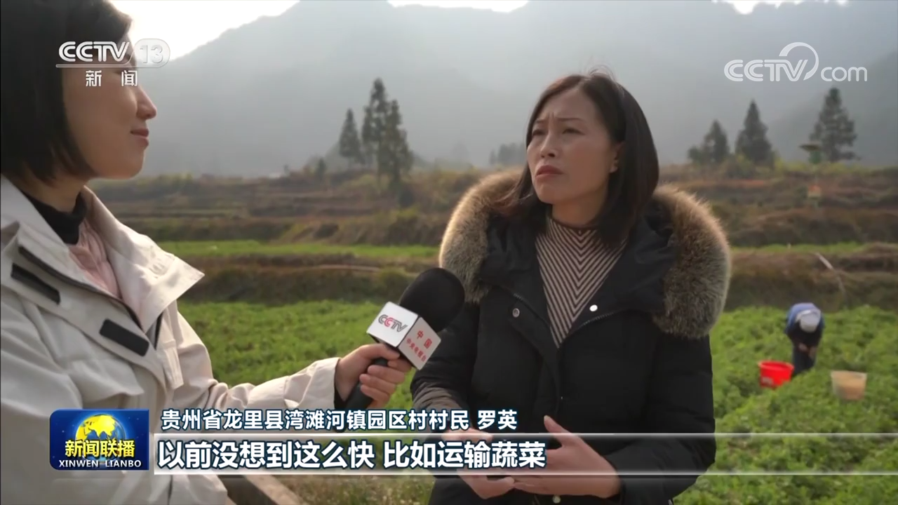 豌豆尖种植视频_豌豆尖种植致富_种豌豆尖怎样才产量才高