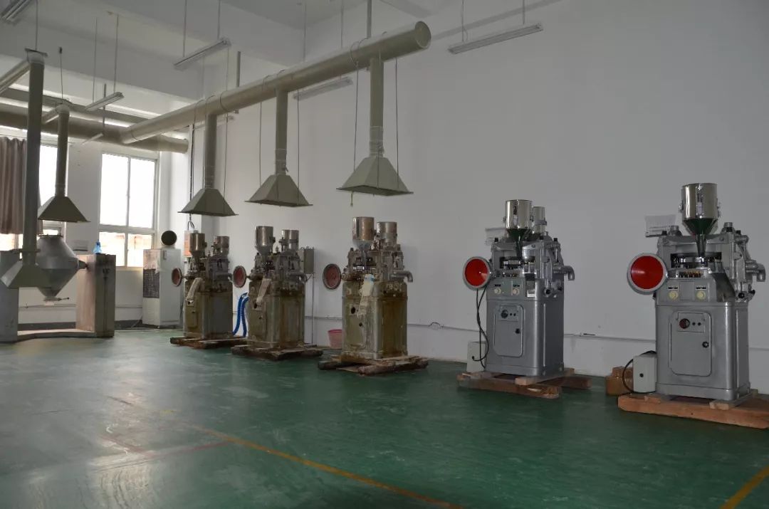 四大家鱼致富经_致富鱼游出产业振兴路_致富鱼丰收