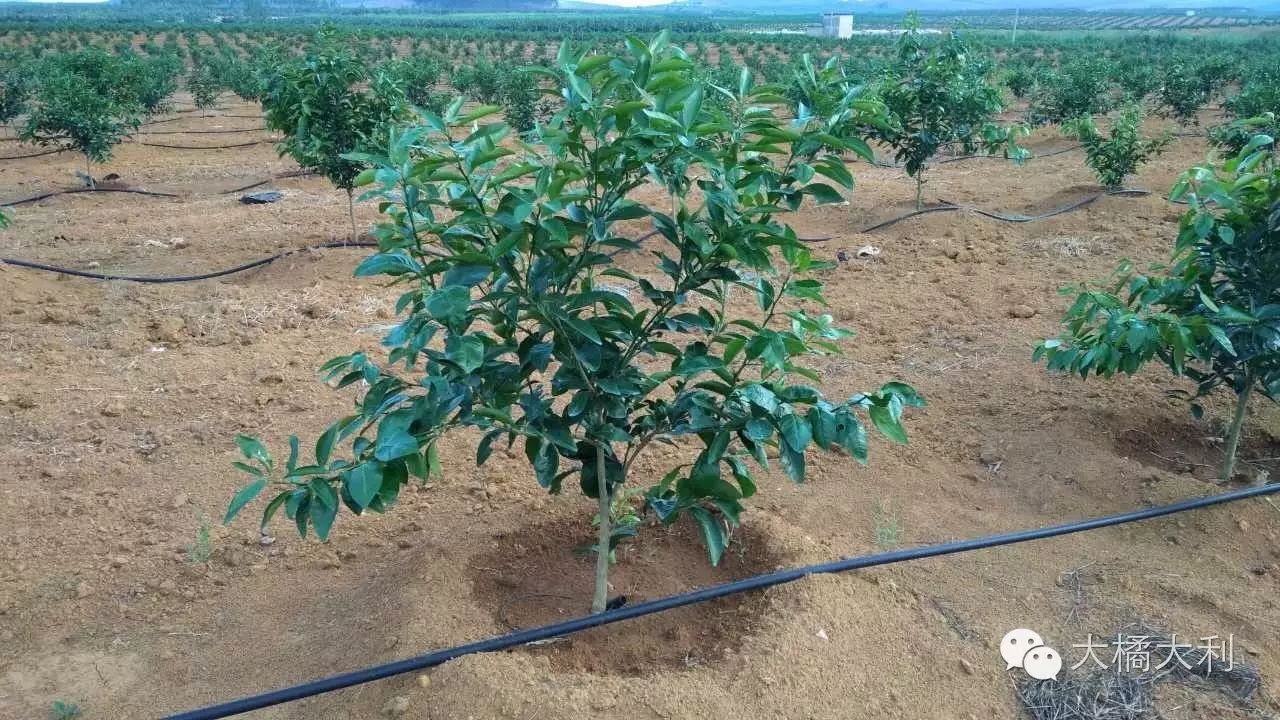 种养技术的网站_养殖种植技术网_种殖养殖教程书